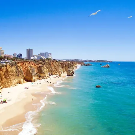 Mcramé Design Sea View, Beachfront, Swimming Pool, 2bdr, 2bar, 6 Pax, Da Rocha