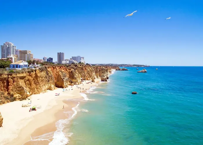 Mcramé Design Sea View, Beachfront, Swimming Pool, 2bdr, 2bar, 6 Pax, Da Rocha